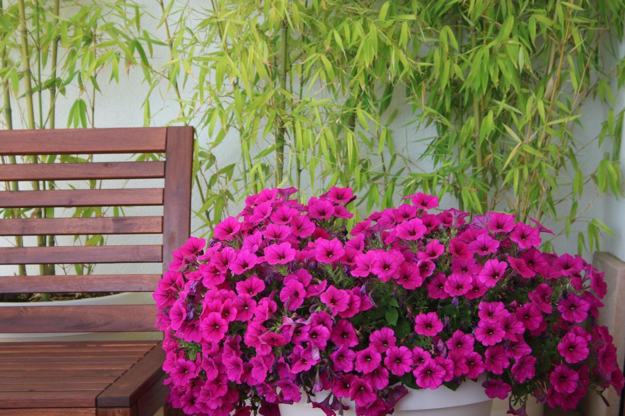 Hotel Mare Nostrum Peñíscola Екстериор снимка